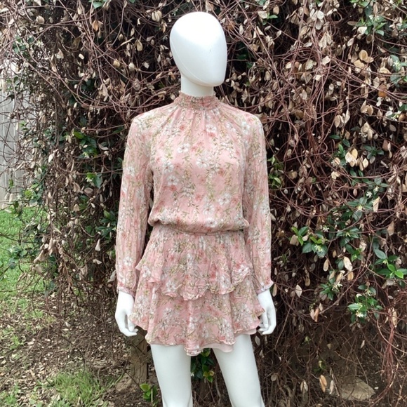 Yumi Kim Class Act In Eden Blush Boho Ruffle Mini Dress - Picture 2 of 9